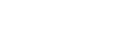 Bottai Cione Logo